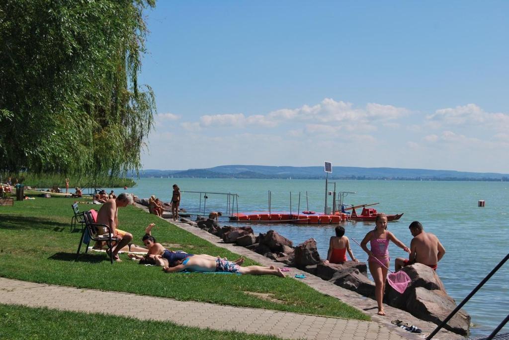 Balaton Wellness Tom Cat Nyaralo 1 Wellness Es 1 Gyermekbarat Apartmannal Kovagoors Екстер'єр фото