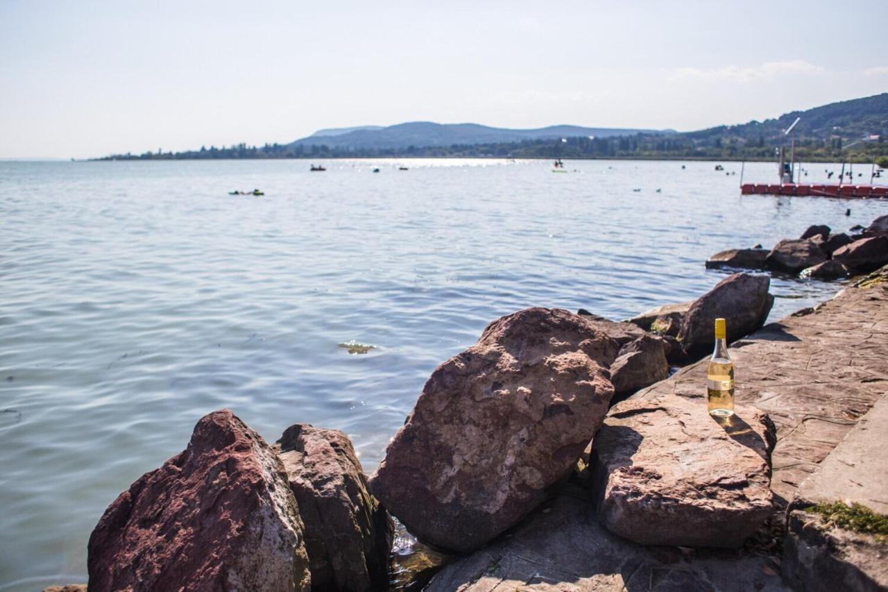 Balaton Wellness Tom Cat Nyaralo 1 Wellness Es 1 Gyermekbarat Apartmannal Kovagoors Екстер'єр фото