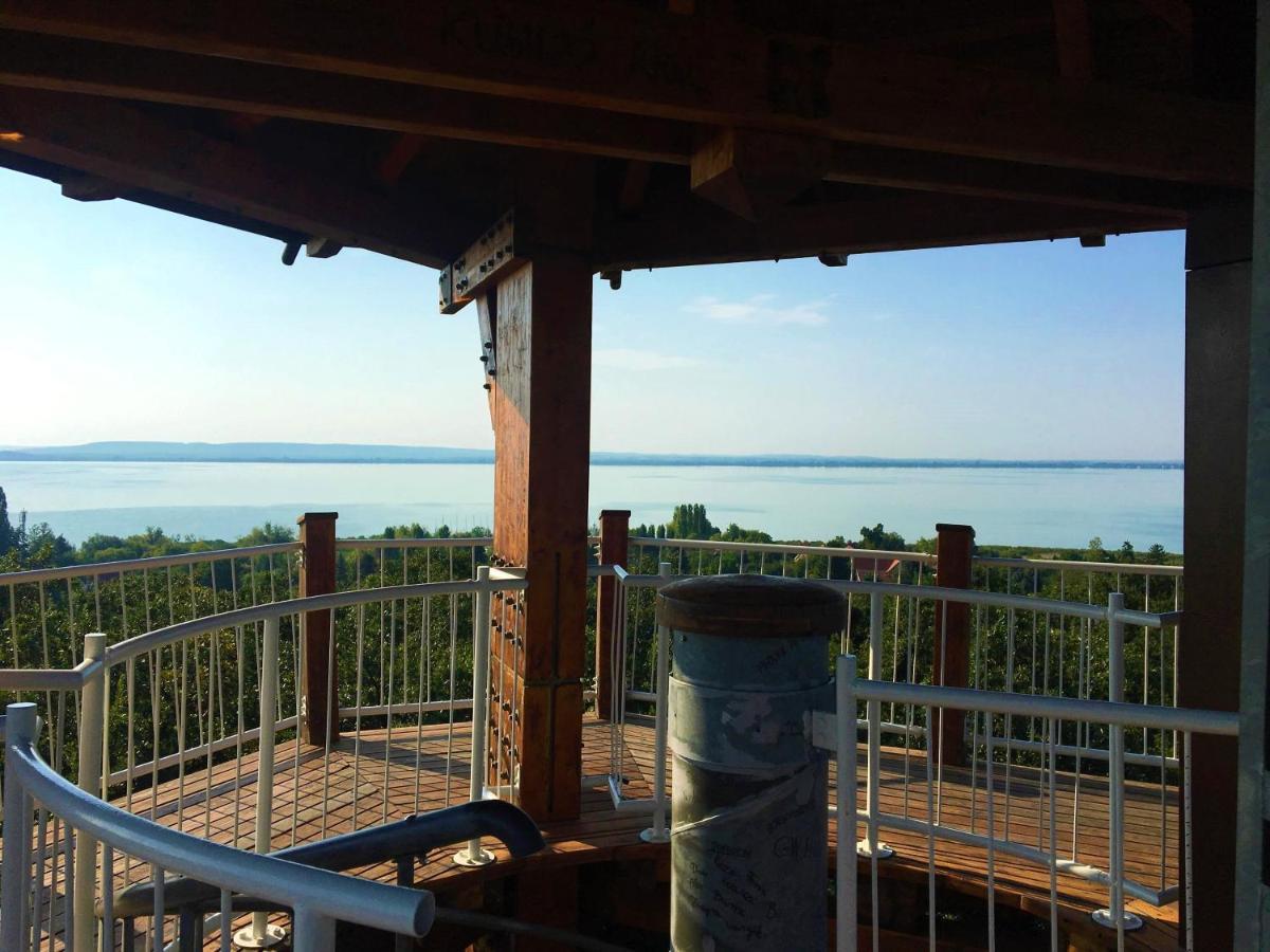 Balaton Wellness Tom Cat Nyaralo 1 Wellness Es 1 Gyermekbarat Apartmannal Kovagoors Екстер'єр фото